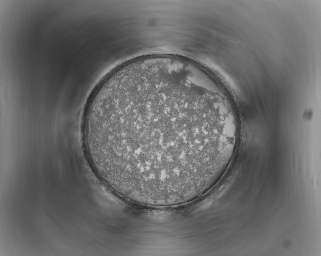 X0000097671278200803211934