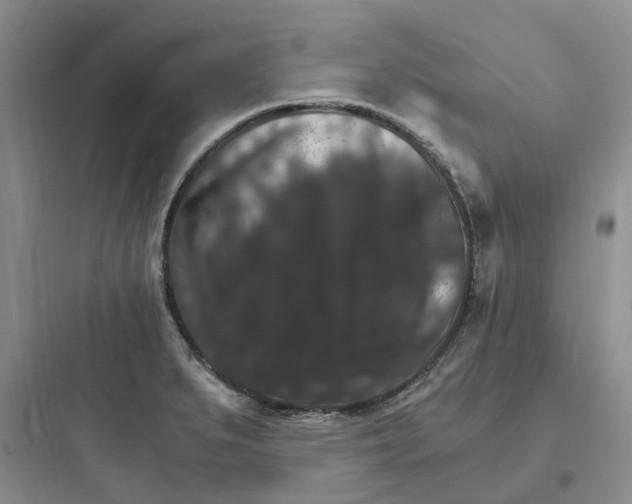 X0000097671279200803211934