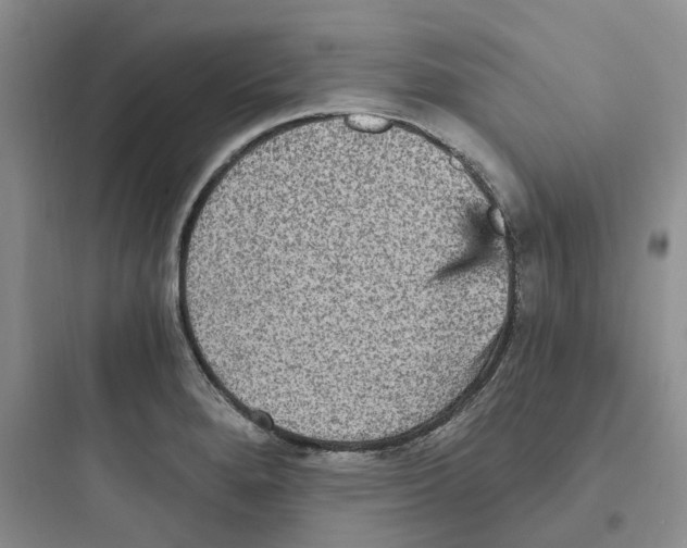 X0000097671280200803211934