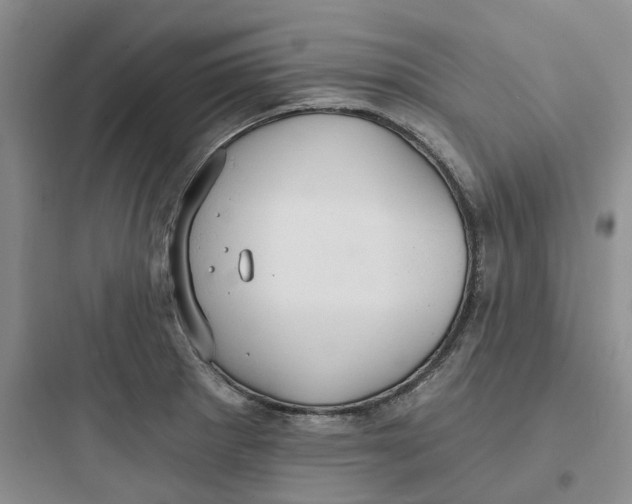 X0000097671281200803211934