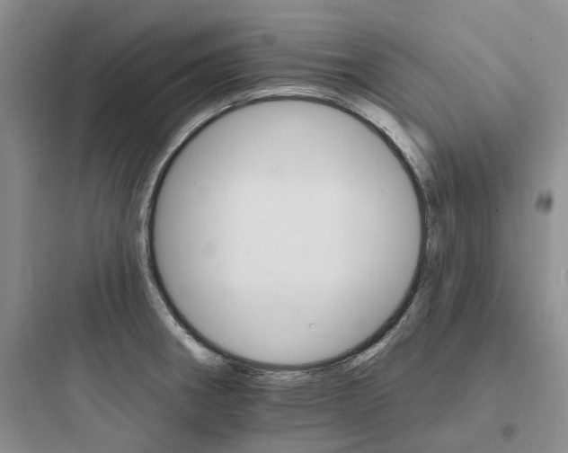 X0000097671282200803211934