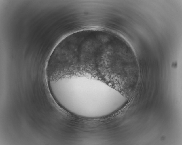 X0000097671283200803211934