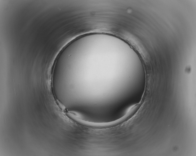 X0000097671284200803211934