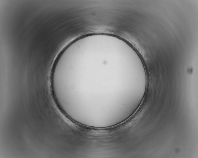 X0000097671285200803211934