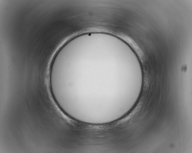 X0000097671286200803211934