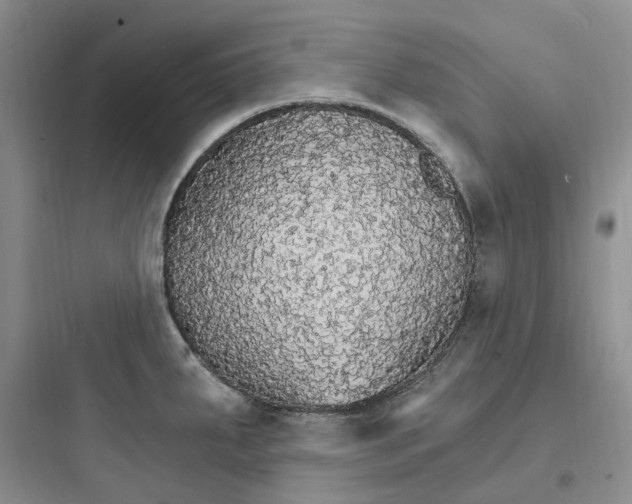 X0000097671287200803211934