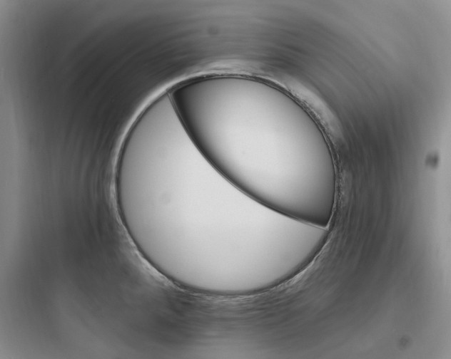 X0000097671288200803211934