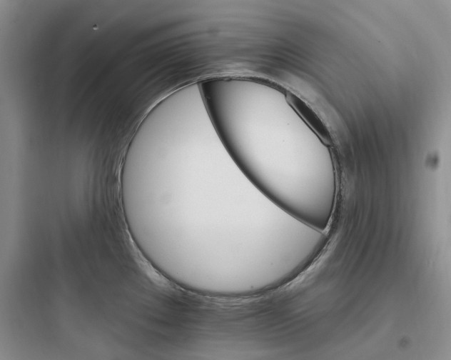 X0000097671289200803211934