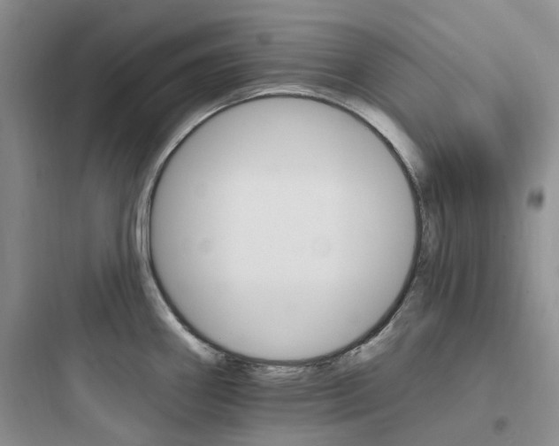 X0000097671290200803211934