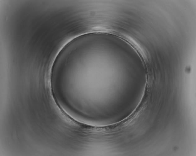 X0000097671291200803211934