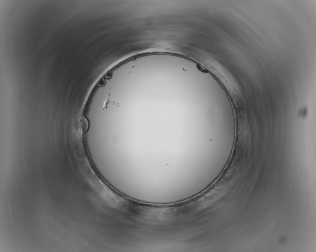 X0000097671292200803211934