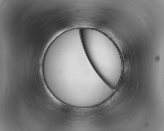 X0000097671293200803211934