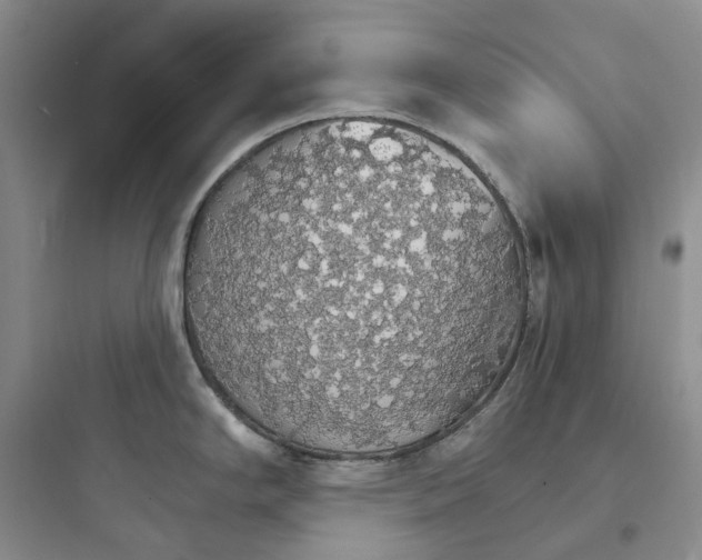 X0000097671294200803211934