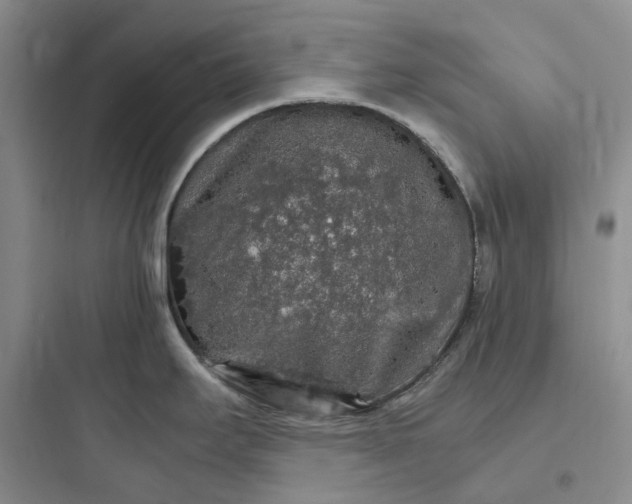 X0000097671295200803211934