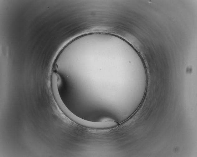 X0000097671296200803211934