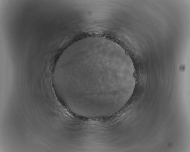X0000097671297200803211933
