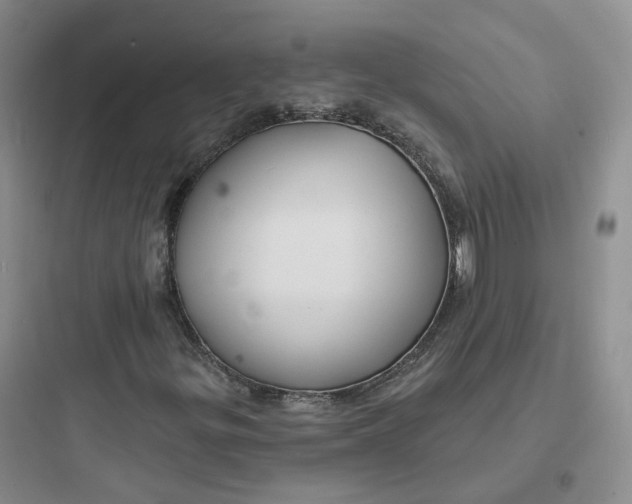 X0000097671299200803211933