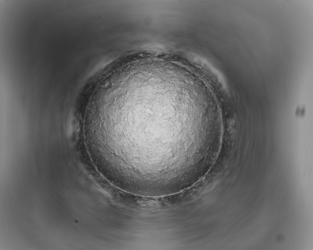 X0000097671302200803211933