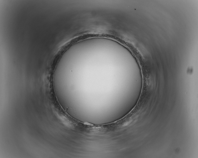 X0000097671304200803211933