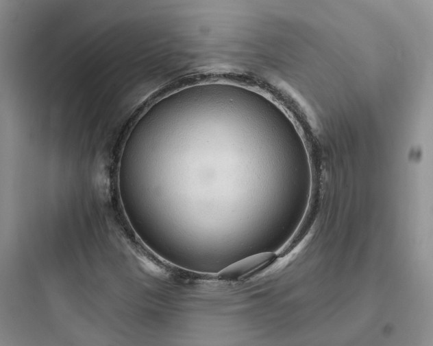 X0000097671305200803211933