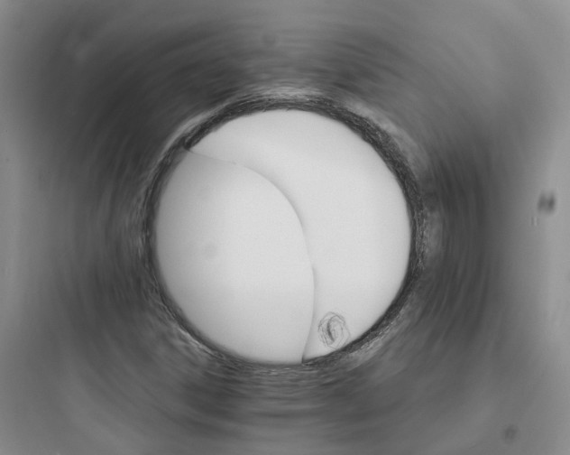 X0000097671306200803211933