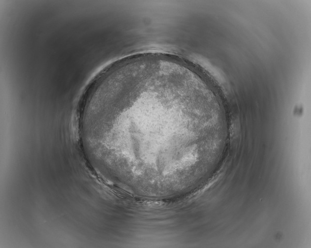 X0000097671310200803211933