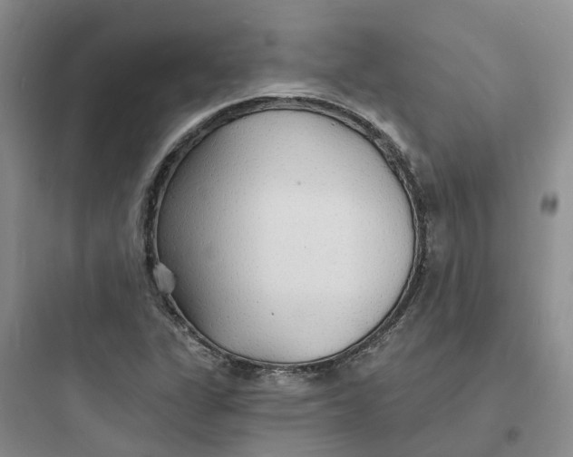 X0000097671311200803211933