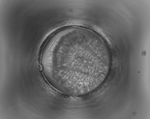 X0000097671312200803211933