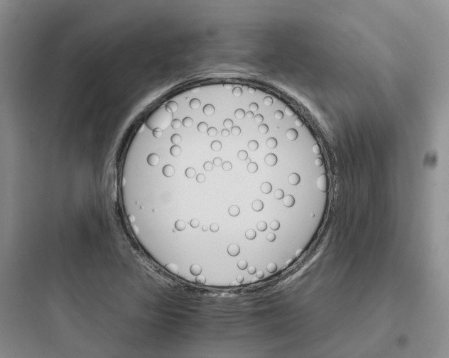 X0000097671317200803211933