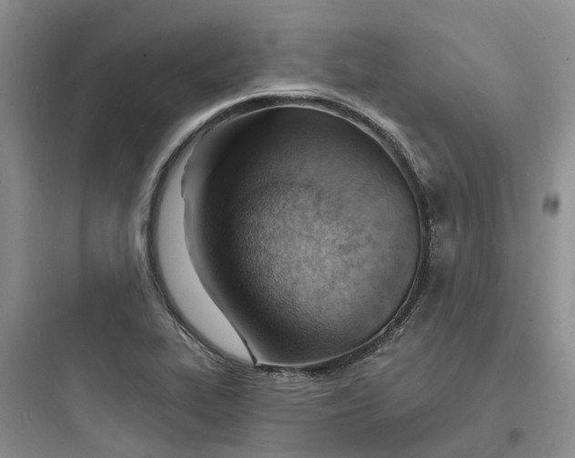 X0000097671319200803211933