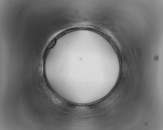 X0000097671320200803211933