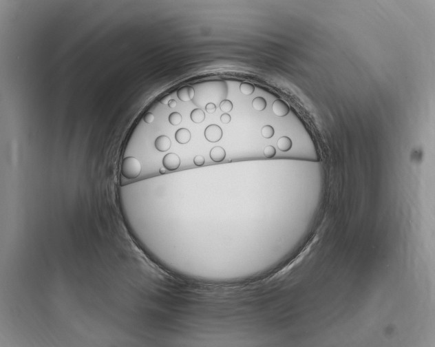 X0000097671321200803211933