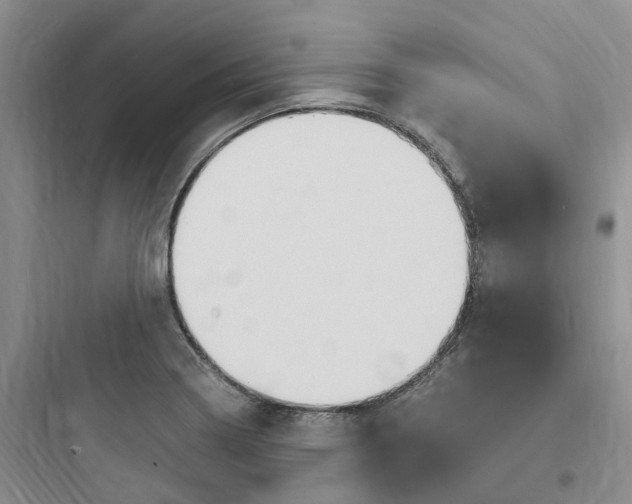 X0000097671322200803211933