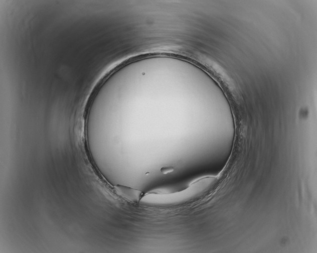 X0000097671324200803211933