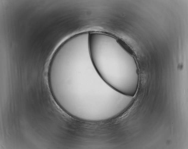 X0000097671326200803211933