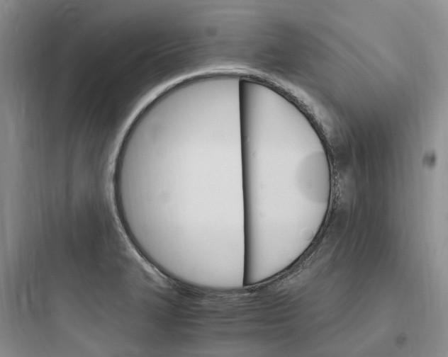 X0000097671327200803211933