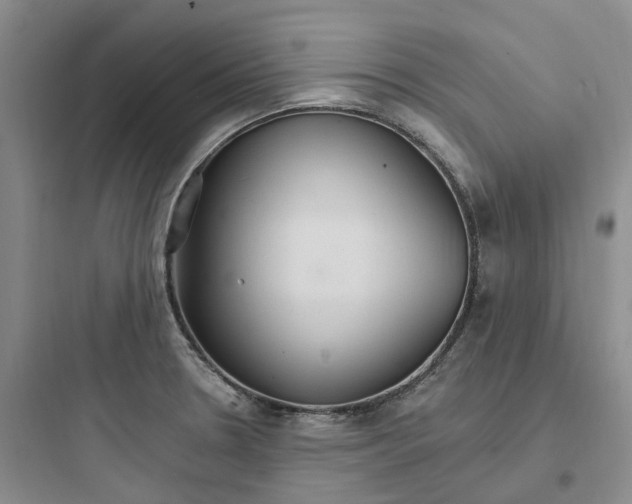 X0000097671330200803211933