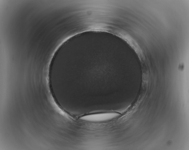 X0000097671331200803211933