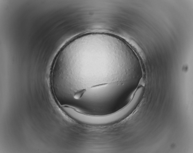 X0000097671333200803211934