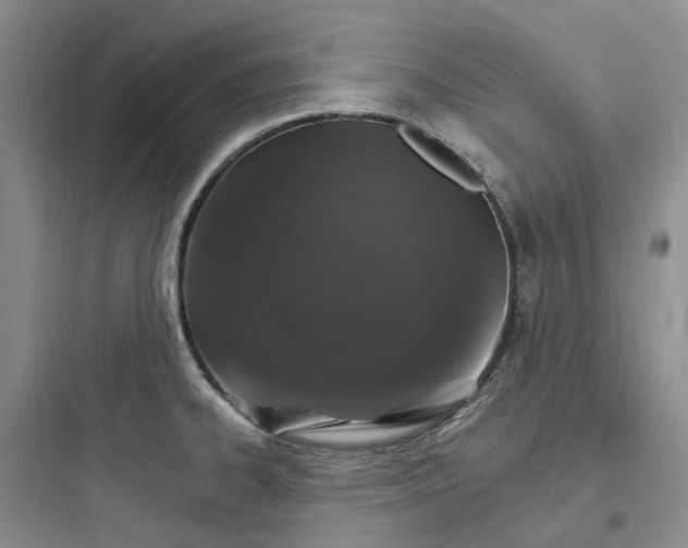 X0000097671334200803211934