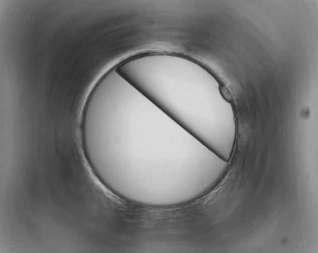 X0000097671335200803211934