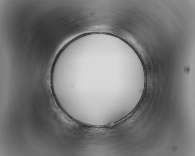 X0000097671336200803211934