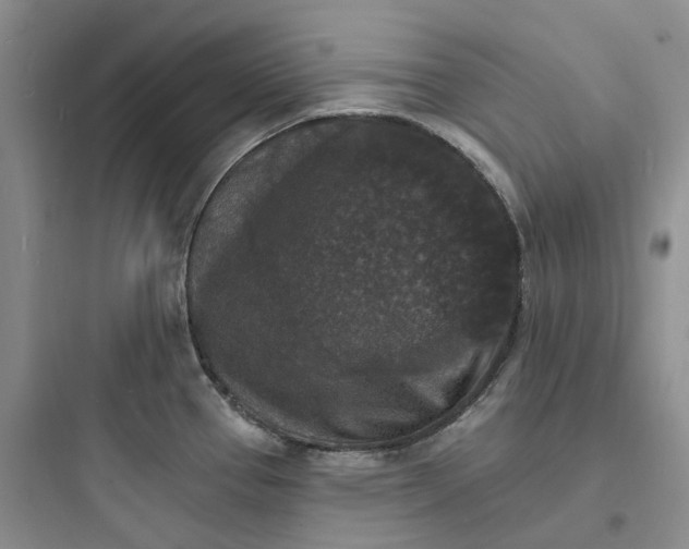 X0000097671337200803211934