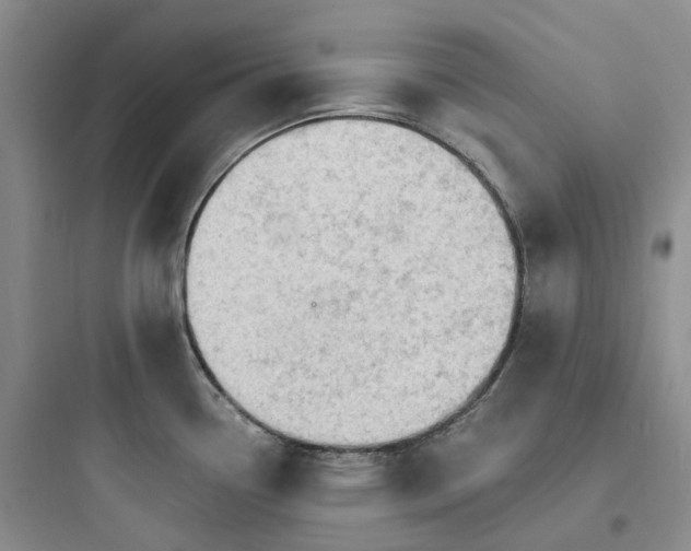 X0000097671338200803211934