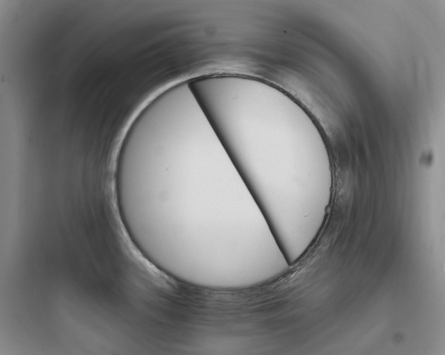 X0000097671339200803211934