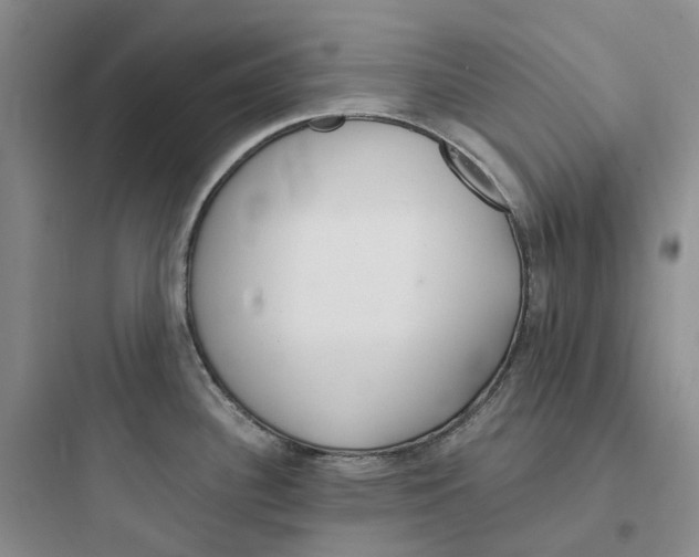 X0000097671340200803211934