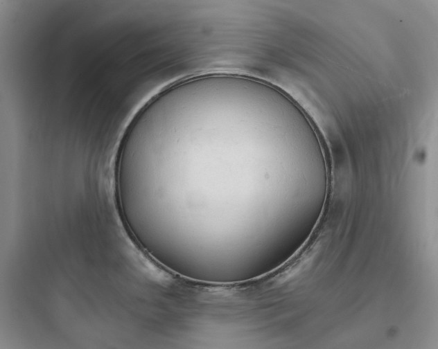 X0000097671341200803211934