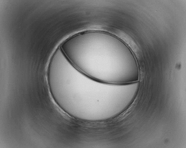 X0000097671342200803211934