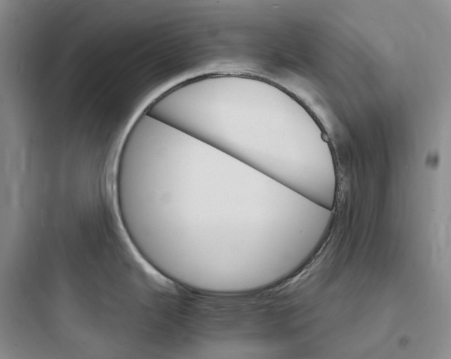 X0000097671343200803211934