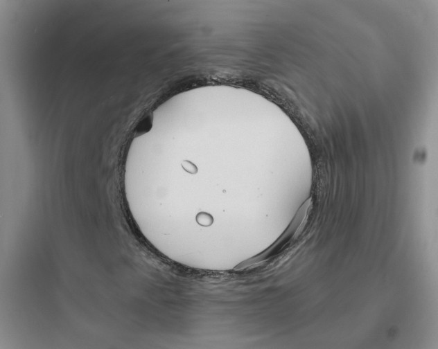 X0000097671345200803211933